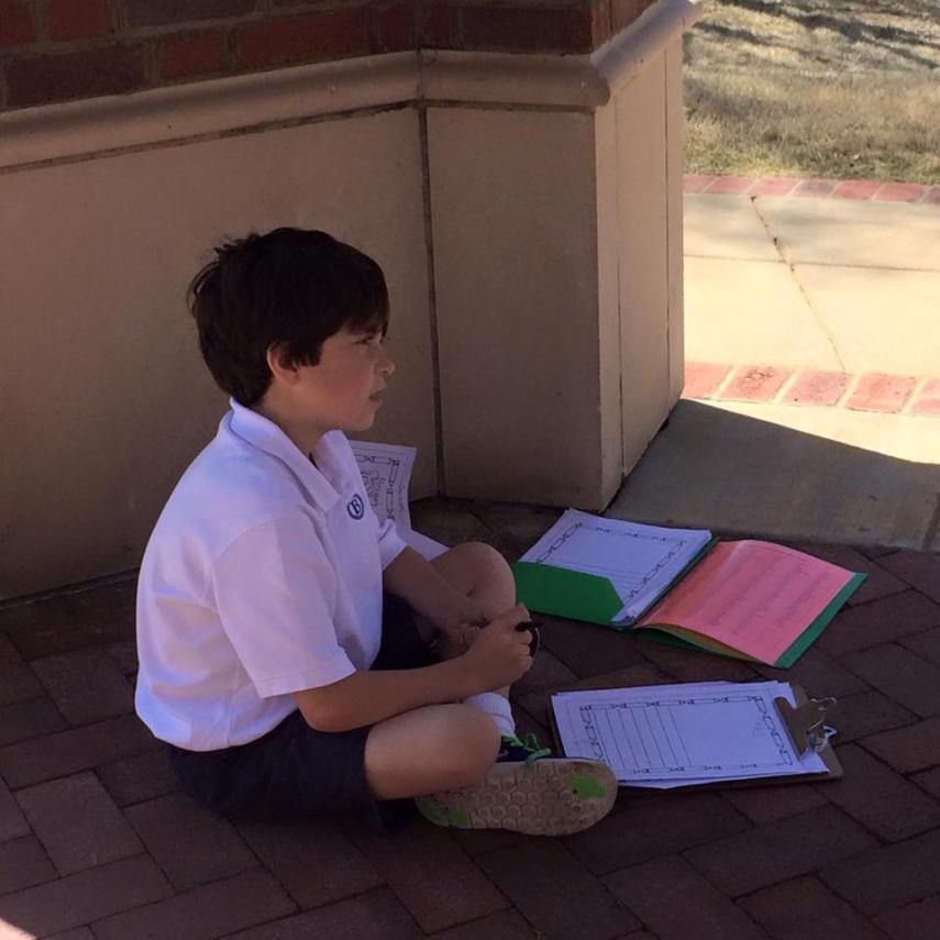 12801695_989502617770876_2360328506030076396_n