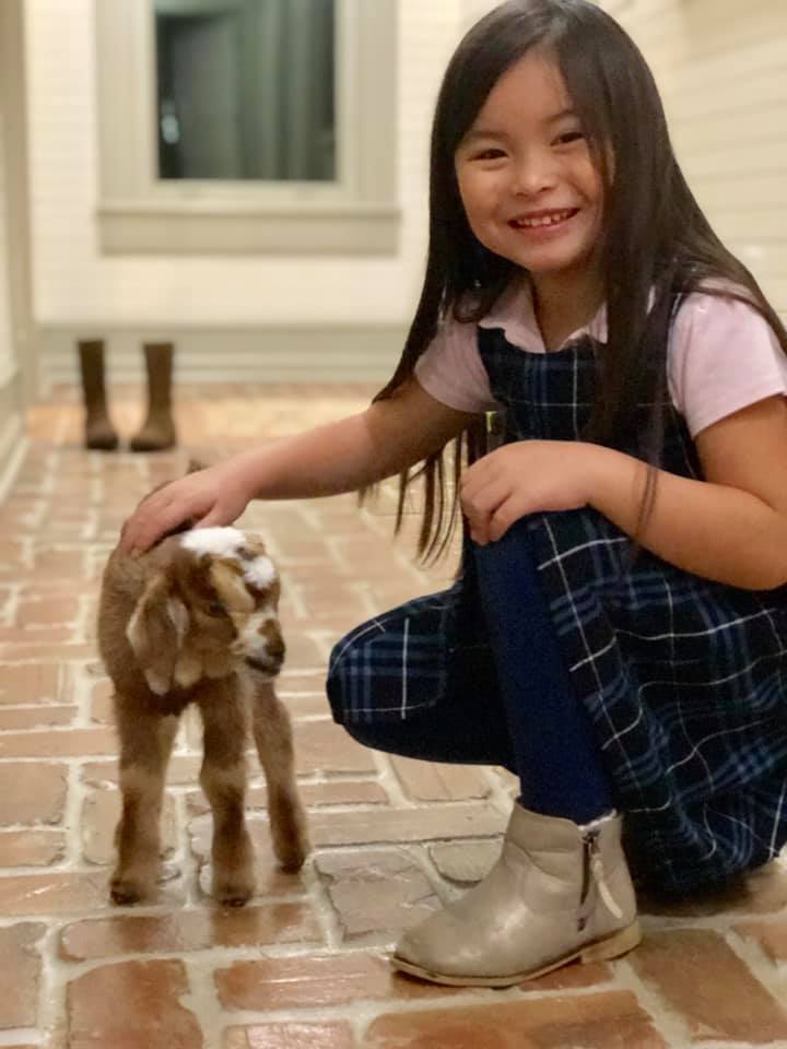 52605442_10155858787216174_8998078556680486912_n