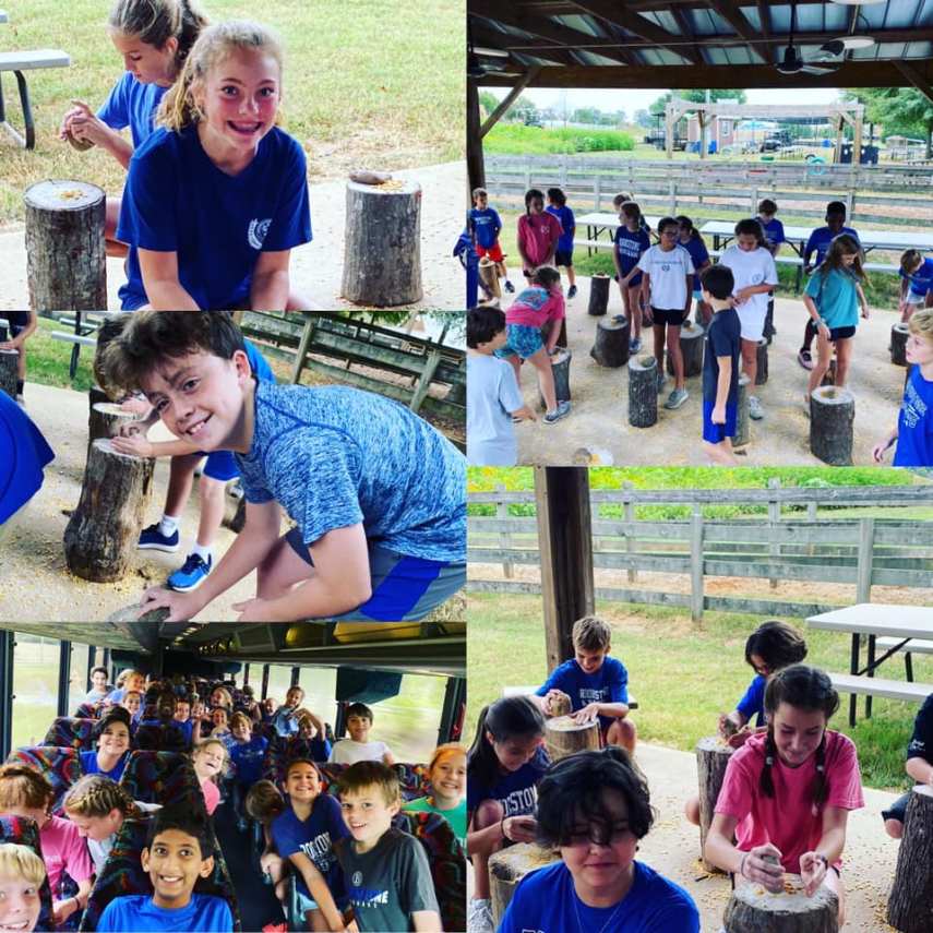 71901961_10102746357943912_3909965126211469312_n